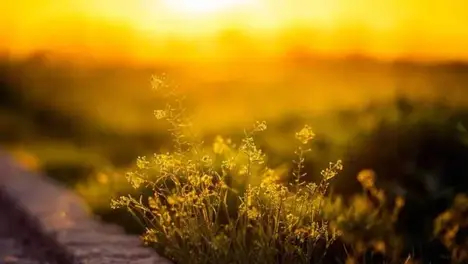 LPL夏季赛冒泡赛分组公布:IG胜者组冲击全球总决赛名额,败者组生死战激烈角逐